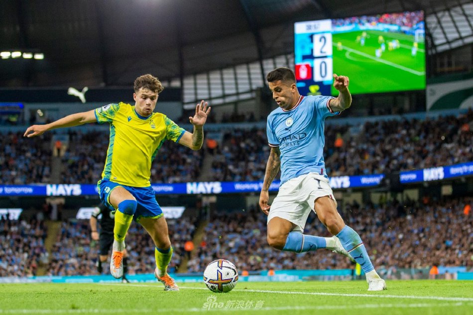 有望提升球 有望提升球